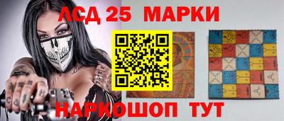 прущие грибы Будённовск