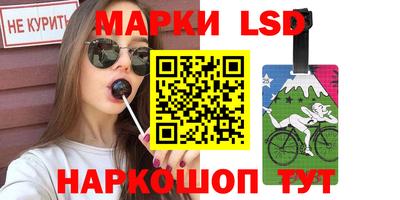 прущие грибы Будённовск