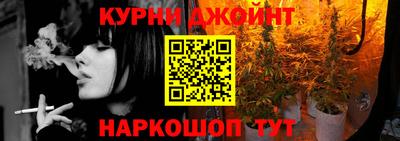 прущие грибы Будённовск