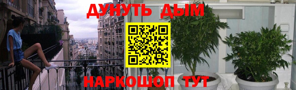 Находка  Шишки марихуана план  Марихуана индика  Вход с VPN  МАРИХУАНА OG Kush  Конопля ГИДРОПОН 